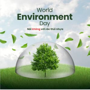 Ngày Môi trường Thế giới 2025: Chung tay chống ô nhiễm nhựa